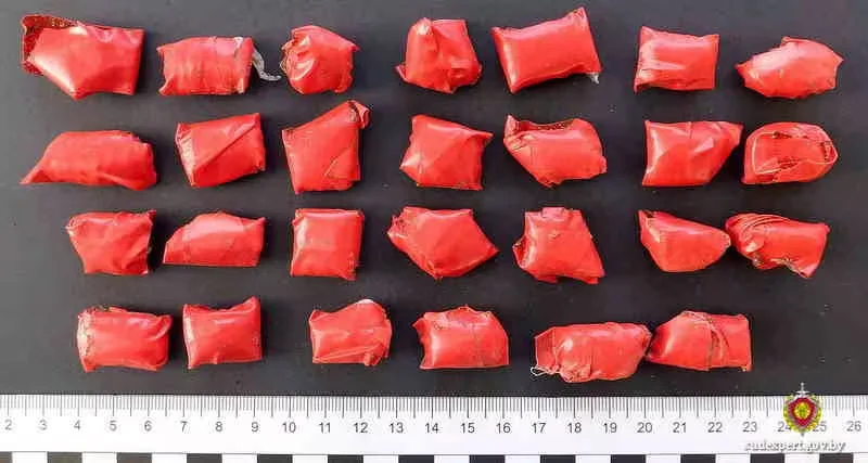  Фото: Управление ГКСЭ по Могилевской области