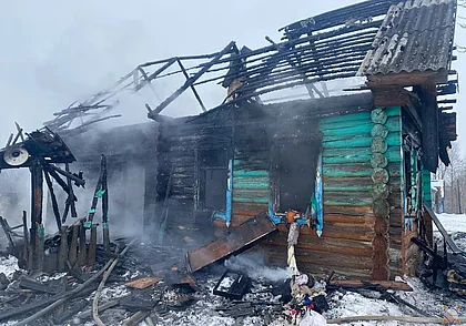 Пожар в Славгородском районе: хозяина дома спасли проезжавшие мимо мужчины (видео)