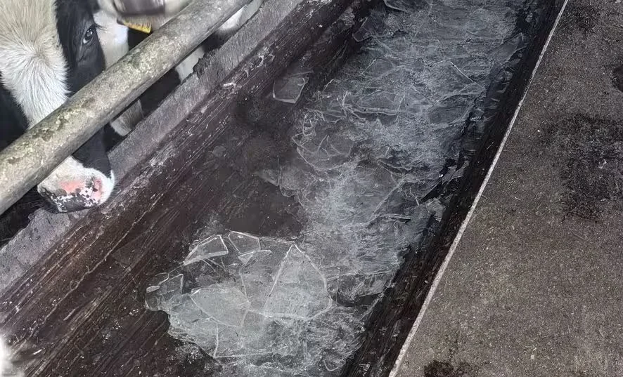  Фото: прокуратура Могилевского района