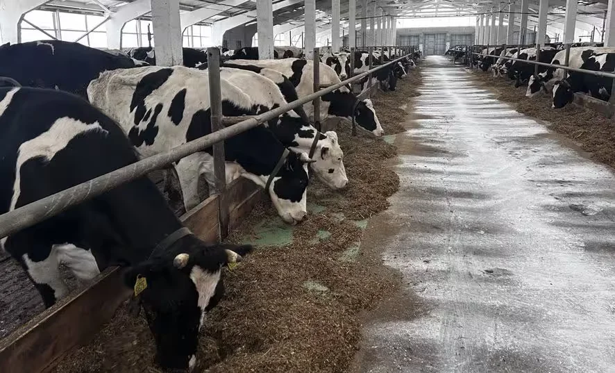  Фото: прокуратура Могилевского района