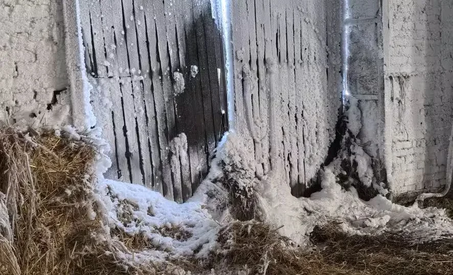  Фото: прокуратура Могилевского района