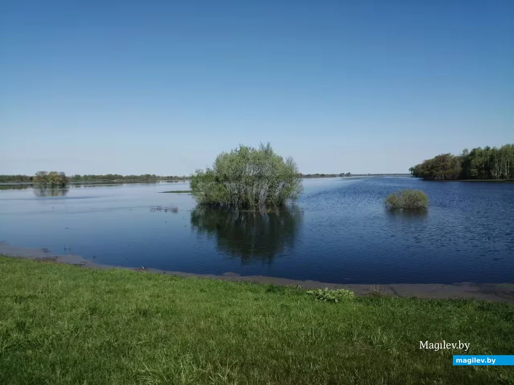  Разлив на Днепре. Весна 2024 г. Фото: Ирина Половикова