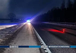 Смерть на трассе Минск – Гомель в Осиповичском районе: водитель наехал на пешехода
