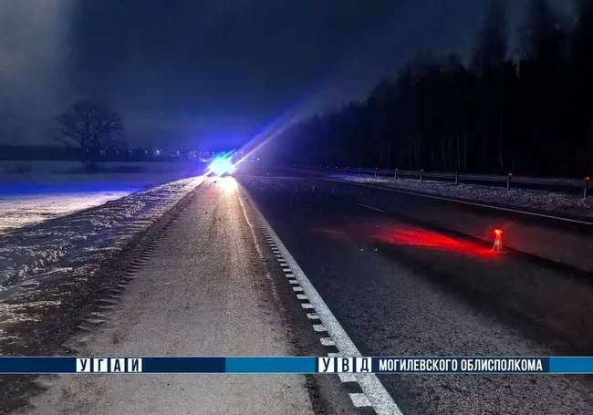 Смерть на трассе Минск – Гомель в Осиповичском районе: водитель наехал на пешехода