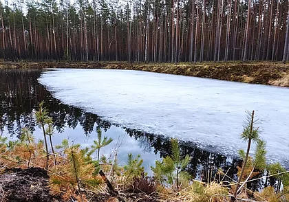 Какие реки Беларуси полностью очистились ото льда, рассказали в Белгидромете