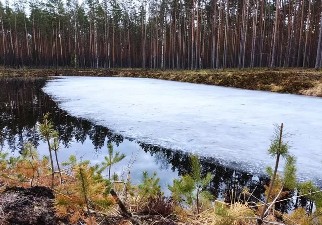 Какие реки Беларуси полностью очистились ото льда, рассказали в Белгидромете