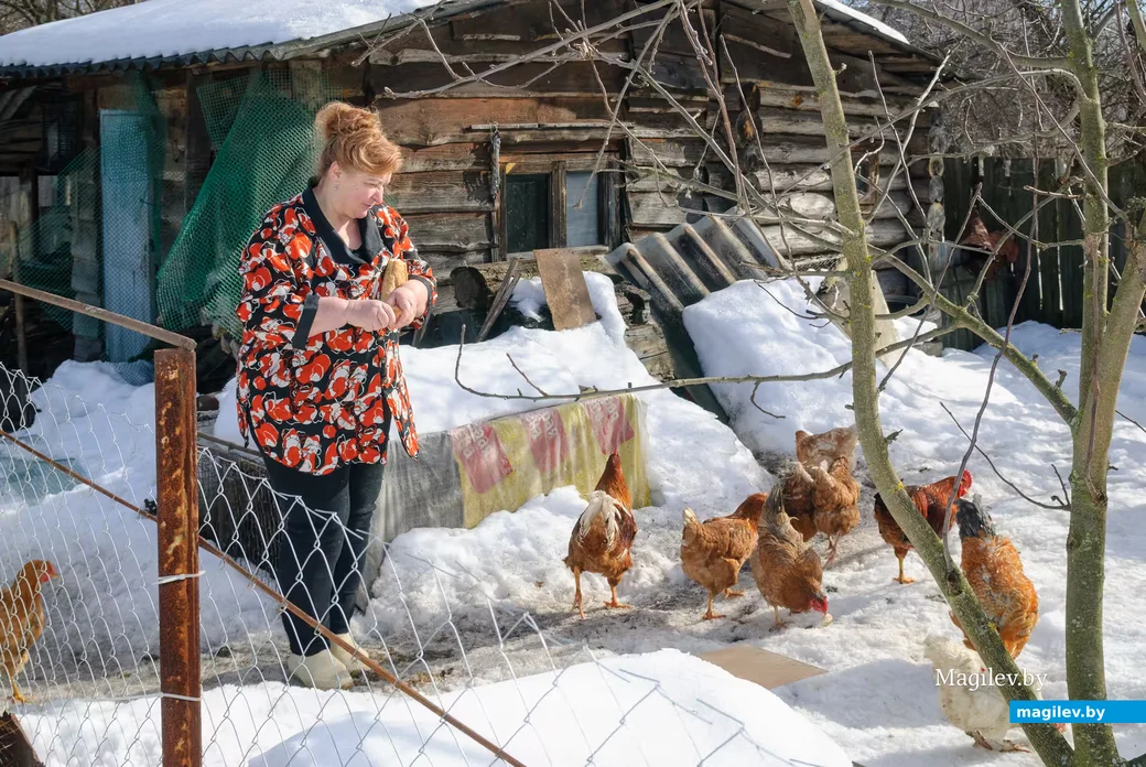 02.03.2026. Бобруйск. На подворье у супругов  Любови и Алексея Шушляниковых.