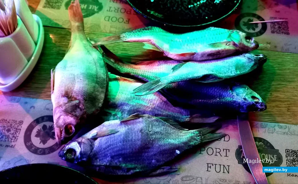 27.02.2026, Могилев, паб «Эль Хаус». Днепровская таранка.