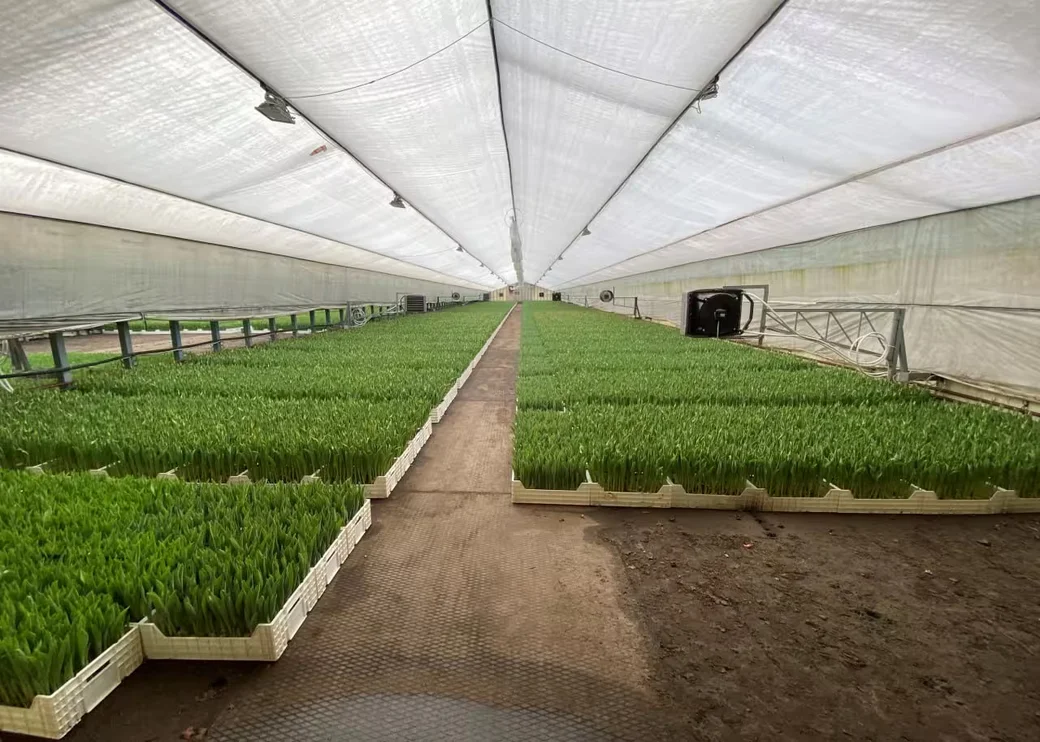  Фото: КГК Беларуси