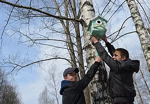 Без осадков, до 4-х градусов тепла: погода в Могилеве 6 марта