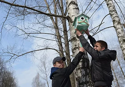 Без осадков, до 4-х градусов тепла: погода в Могилеве 6 марта