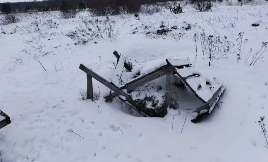 На территории Осиповичского и Славгородского охотничьих хозяйств выявлены сломанные и