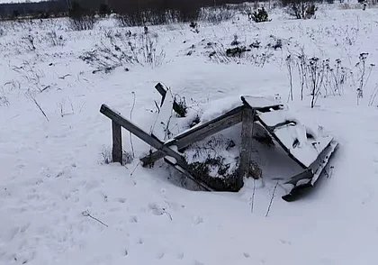 Прокуратура Могилевской области выявила нарушения в охотничьих хозяйствах региона