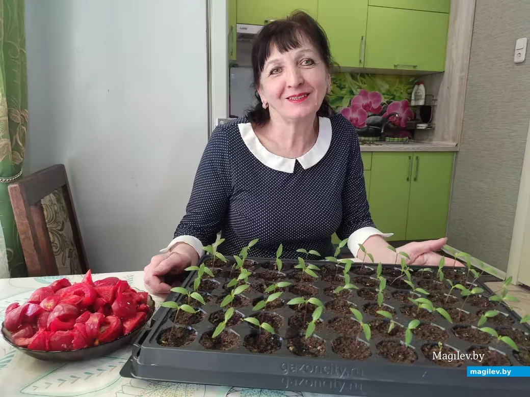 5.03.2026 г. Бобруйск. Наталия Капишина.с рассадой своих любимых перцев.  Рядом - замороженные