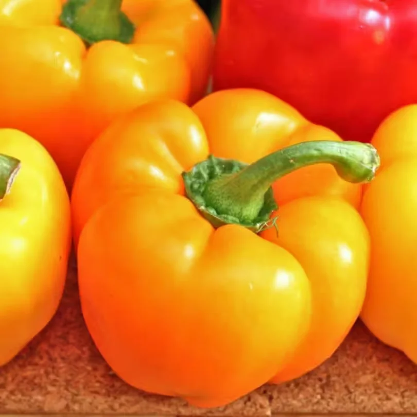  Так выглядят гогошары. Фото: sibsortsemena.ru