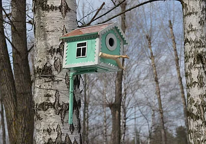 Тепло, солнечно и без осадков: погода в Могилеве 9 марта