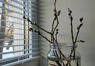 Солнечно и до 14 градусов тепла: погода в Могилеве 10 марта