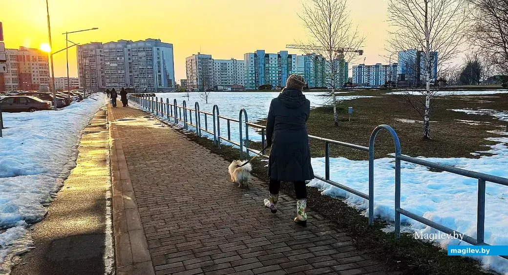  11.03.2026, Могилев, микрорайон Казимировка.   