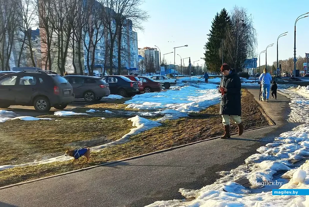  11.03.2026, Могилев, микрорайон Казимировка.   