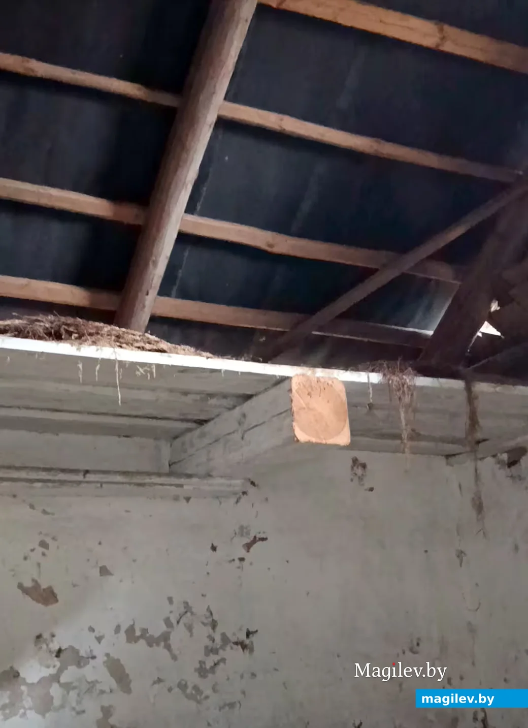  Снежань 2025 г. У старой хаце сям'і Немец недобрасумленныя людзі нават спілавалі бэлькі.