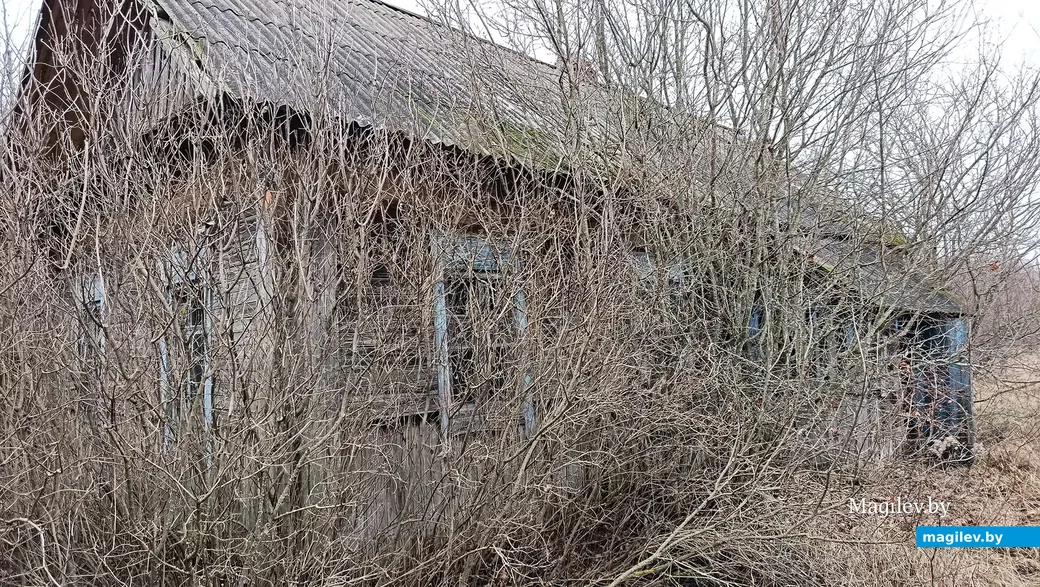  Снежань 2025 г. Вёска Уюнішчы Глускага раёна.