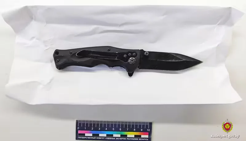  Орудие преступление, изъятое на месте происшествия.         