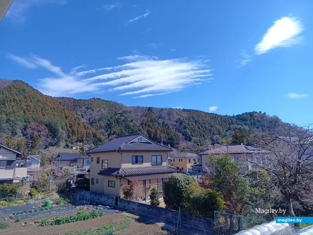 Март 2026 года, Япония, пригород Токио.