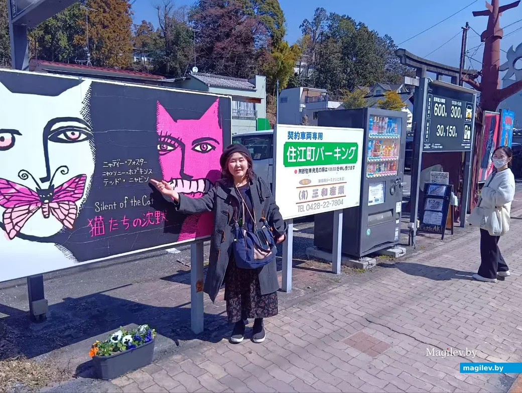 Март 2026 года, Япония, пригород Токио.