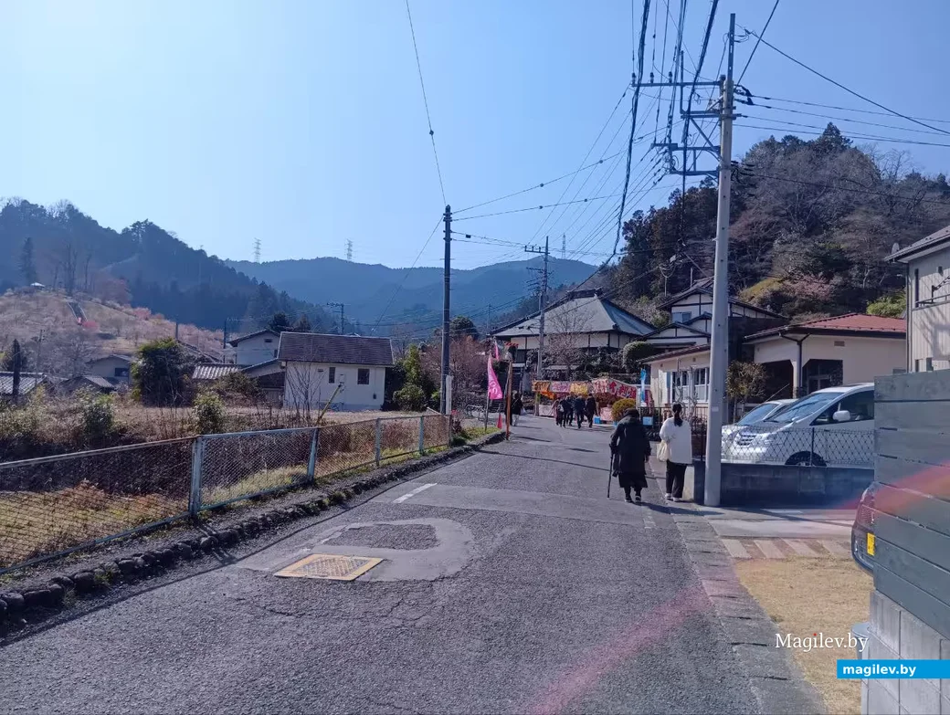 Март 2026 года, Япония, пригород Токио.