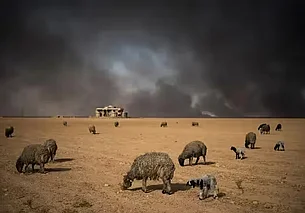 Сажа от горения нефти в Иране может достичь российской Арктики, ускорив таяние льда