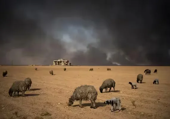 Сажа от горения нефти в Иране может достичь российской Арктики, ускорив таяние льда