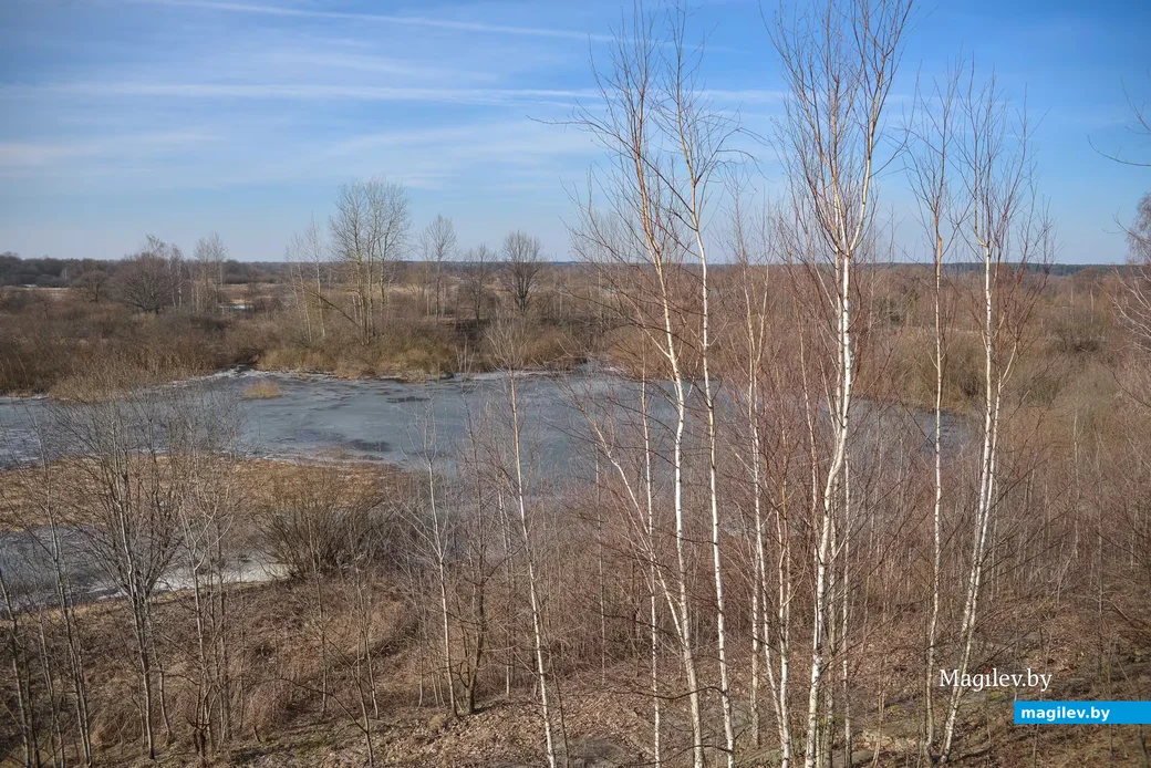 Март. Фото: Александр Чугуев.