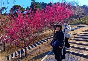 А вот цветение сакуры – специально для жителей Могилевщины