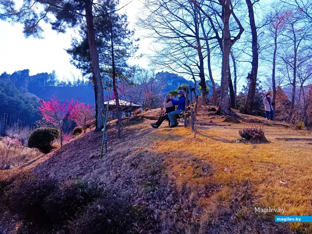 Март 2026 года, Япония, пригород Токио.