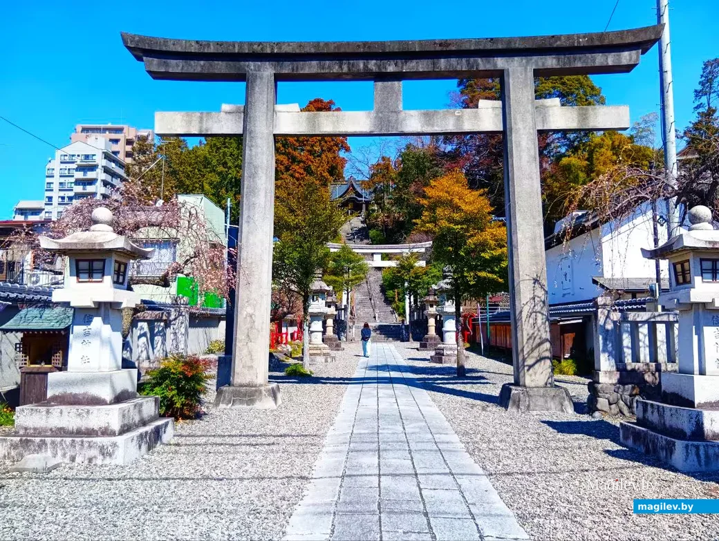 Март 2026 года, Япония, пригород Токио.