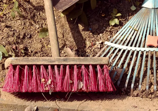 Готовьте грабли и метлы: в Могилеве пройдут общегородские субботники