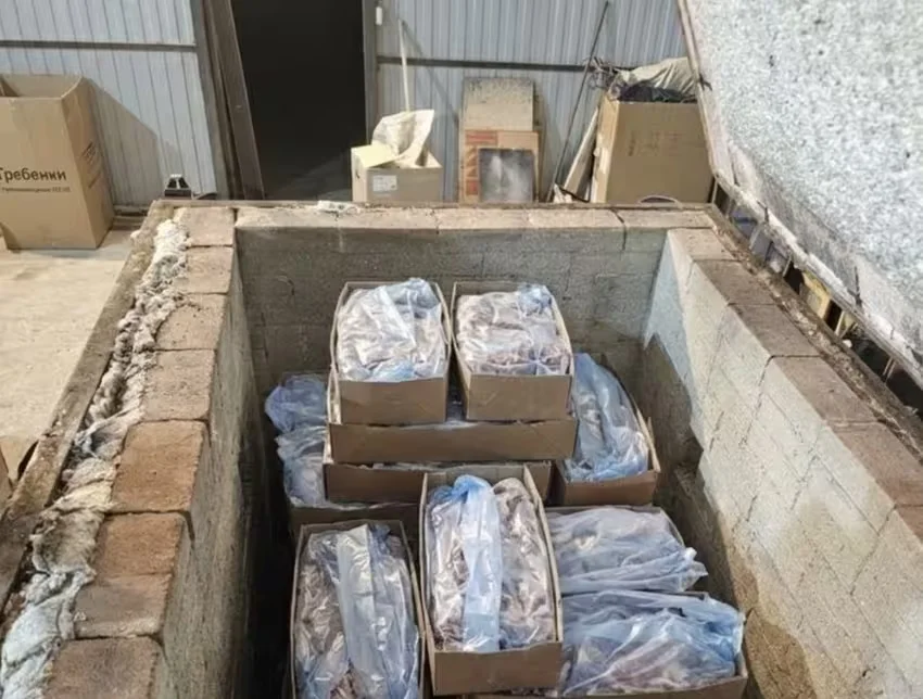 Фото: Россельхознадзор