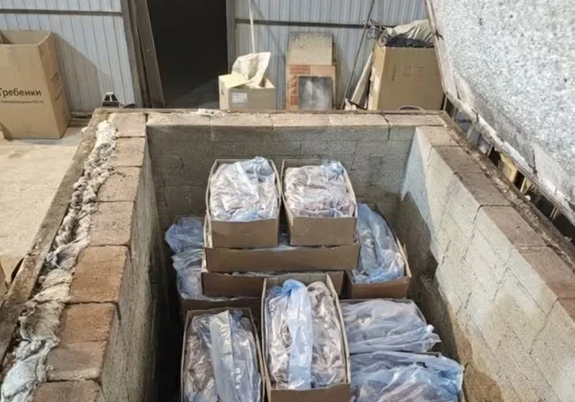 В России уничтожили говядину, которую ввезли из Беларуси