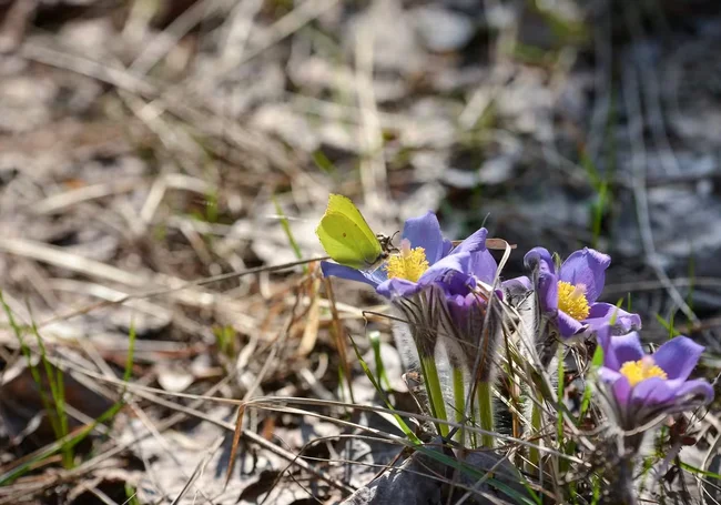 Переменная облачность и до 12 градусов тепла: погода в Могилеве 19 марта