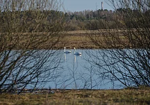 Южный ветер и до 13 градусов тепла: погода в Могилеве 23 марта