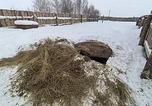 В Могилевском районе выявлены нарушения в содержании скотомогильников