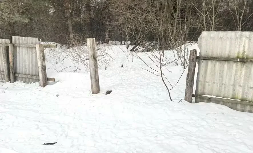  Фото: прокуратура Могилевского района