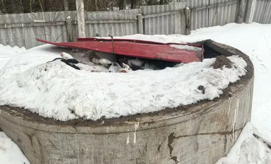 Фото: прокуратура Могилевского района 