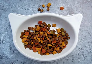 Небольшие магазины в Беларуси будут обязаны продавать корм для домашних животных