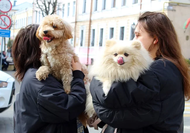 Куда сходить в Могилеве в ближайшие выходные: наш гид