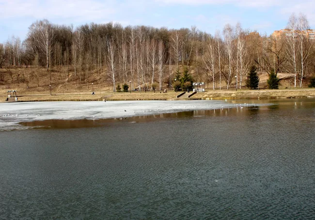 На поверхности реки Дуровенка в Могилеве возведут фонтан, а также отремонтируют набережную