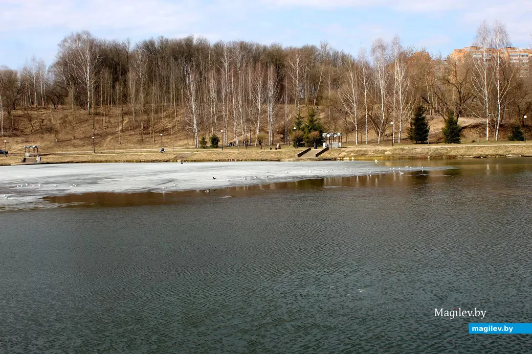 26 марта 2026 года. Могилев. Зона отдыха на реке Дубровенка.
