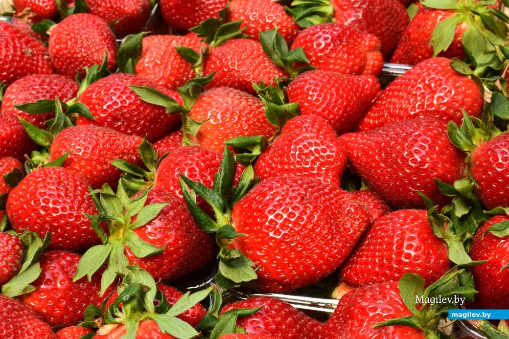  27.03.2026,. Бабруйскі базар 