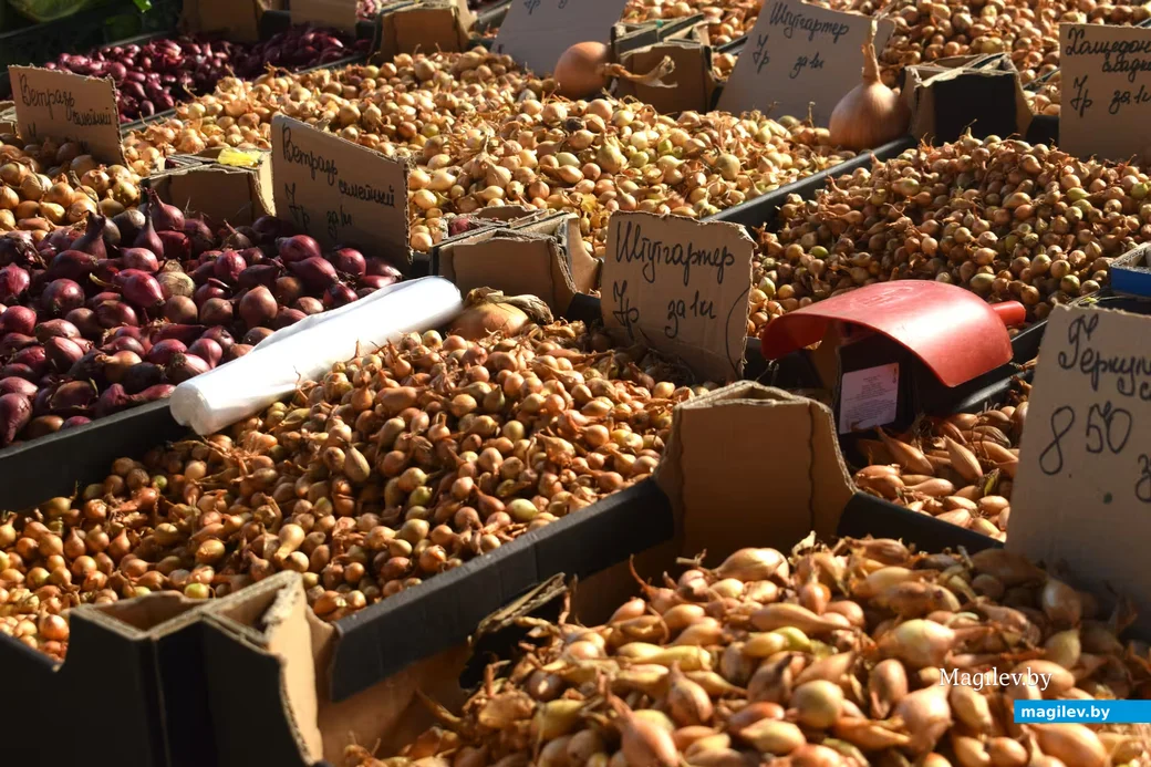  27.032026,. Бобруйский базар 