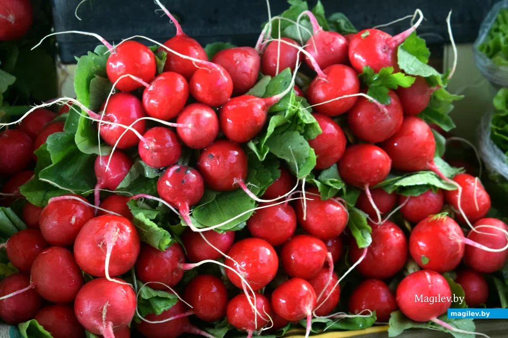  27.03.2026,. Бабруйскі базар 